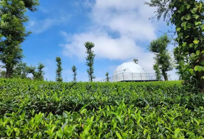 Lomakeskus Vythiri Tea Valley I Best Hotel In Wayanad L Hotels In Vythiri Wayanad