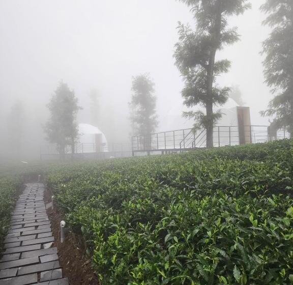 Resort Otel Vythiri Tea Valley I Best Hotel In Wayanad L Hotels In Vythiri Wayanad