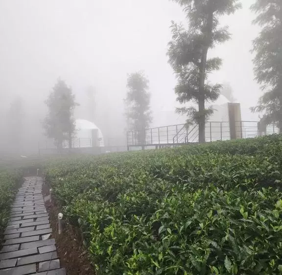 Lomakeskus Vythiri Tea Valley I Best Hotel In Wayanad L Hotels In Vythiri Wayanad