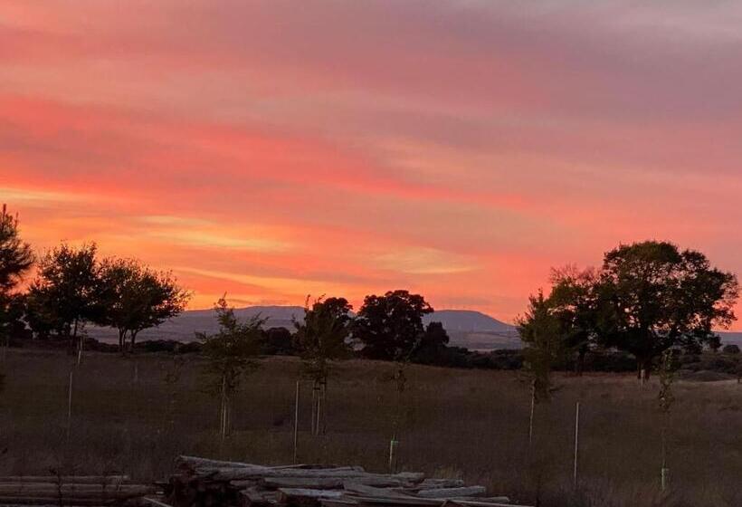Bed and Breakfast Finca Las Botas