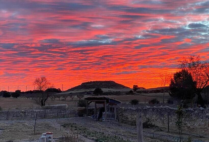 Bed and Breakfast Finca Las Botas