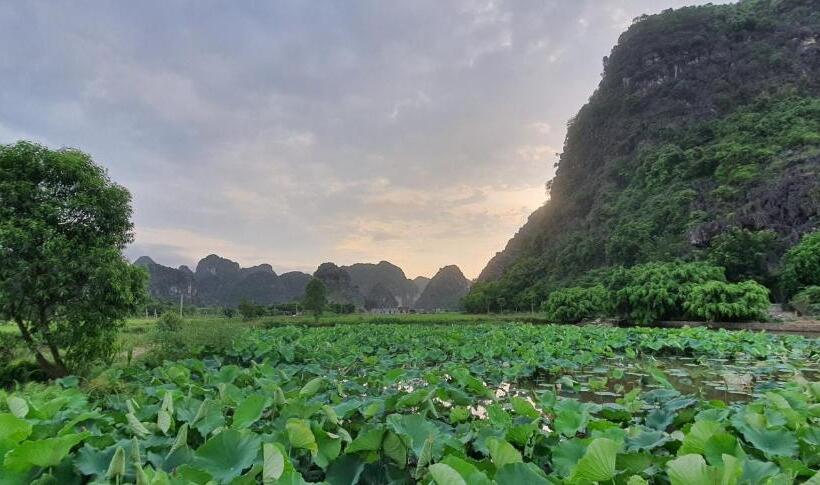 تختخواب و صبحانه Trang An Rice Field Homestay