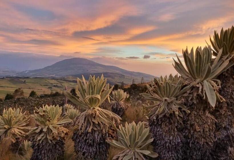 فندق Espeletia Lodge