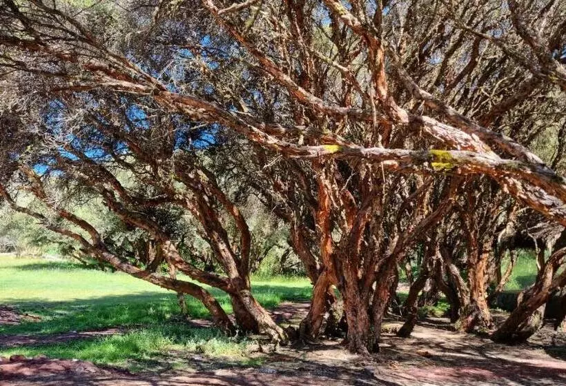 Hotelli Espeletia Lodge