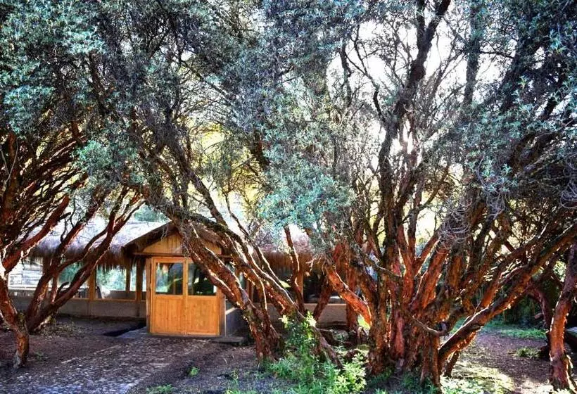 Hotelli Espeletia Lodge