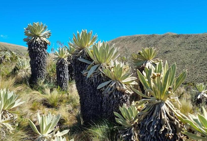 فندق Espeletia Lodge