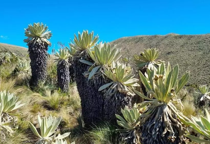 Hotelli Espeletia Lodge