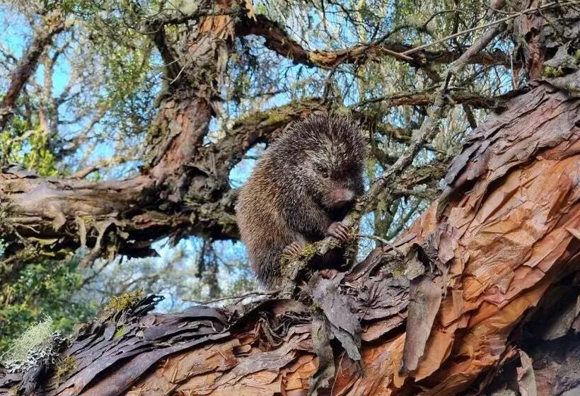 Hotelli Espeletia Lodge