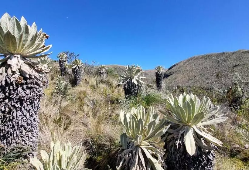 Hotelli Espeletia Lodge