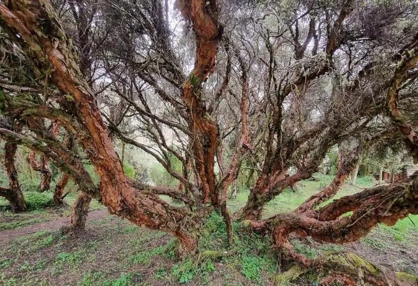 Hotelli Espeletia Lodge