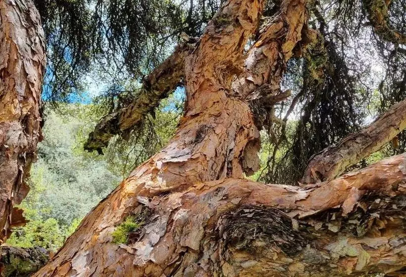 Hotelli Espeletia Lodge