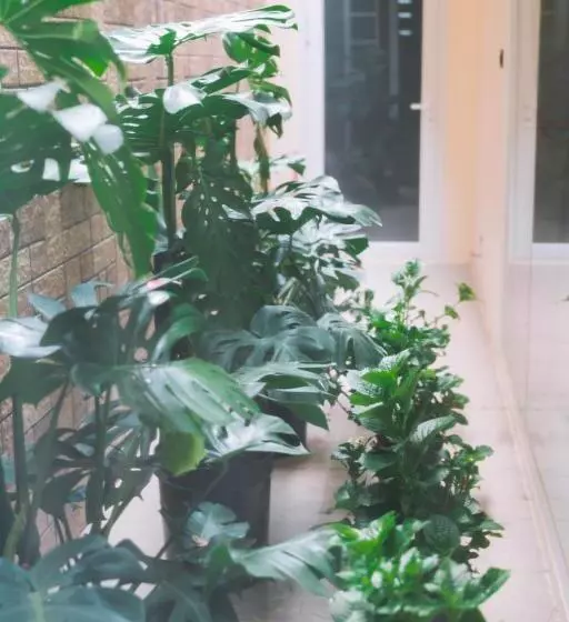 هتل Quy Tai Premium