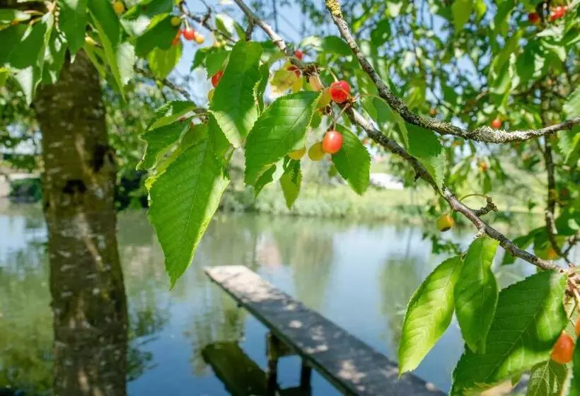 Retkeilymaja Landgasthof Adler