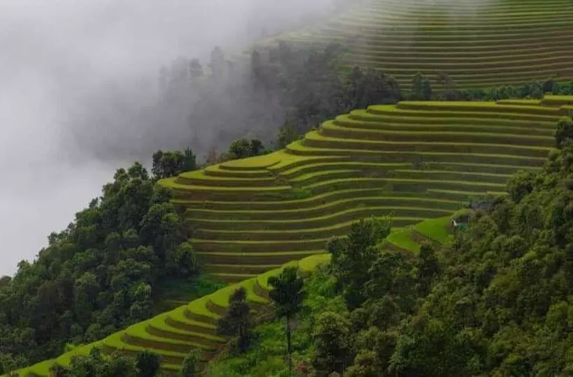 تختخواب و صبحانه Mountain Valley Local Homestay