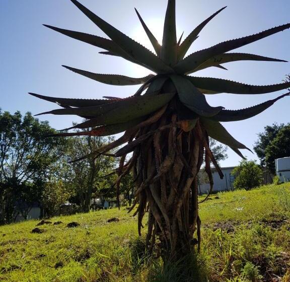 بنسيون Solitude On Somerset