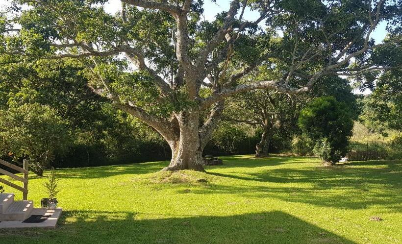 بنسيون Solitude On Somerset