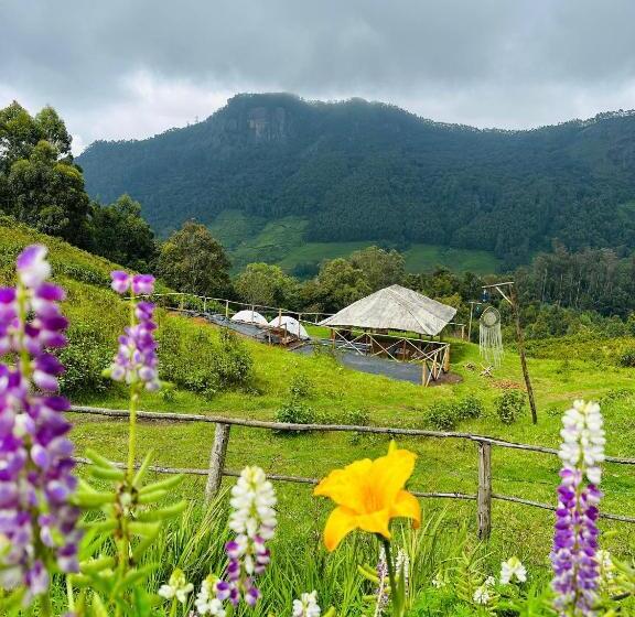 ホテル De Hobbit Tent Camping