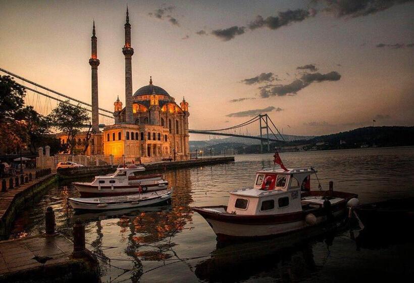 Istanbul Vipinnhotels