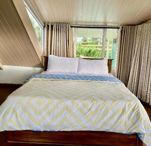 Pensione Medalin Harmony Nest