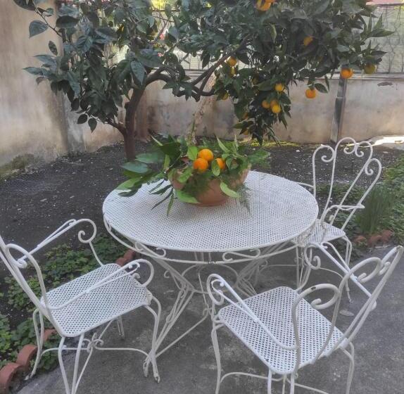 پانسیون Radici