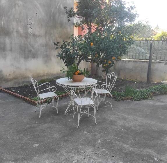 پانسیون Radici