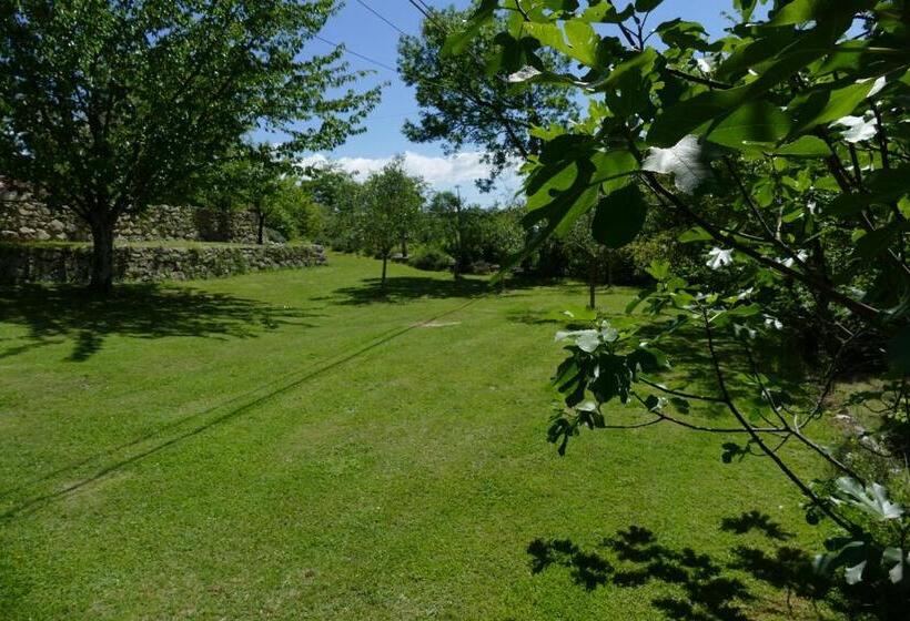 住宿加早餐  Casino Del Monaco