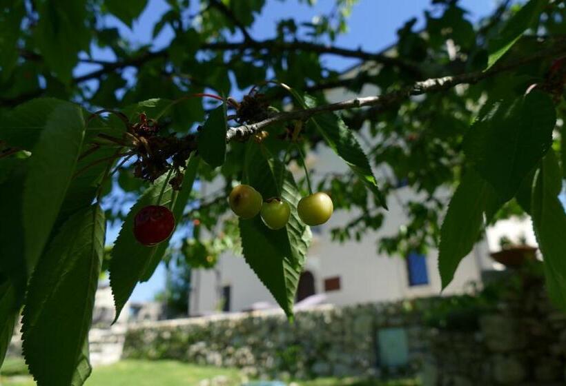 住宿加早餐  Casino Del Monaco