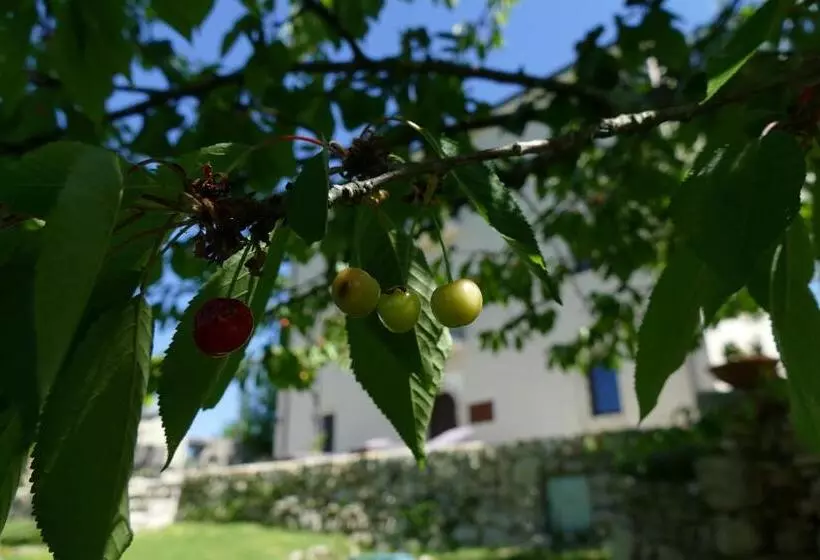 Aamiaismajoitus (B&B) Casino Del Monaco