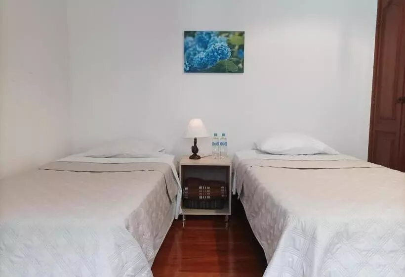 ベッドアンドブレックファースト Conforta Rentals & Spa