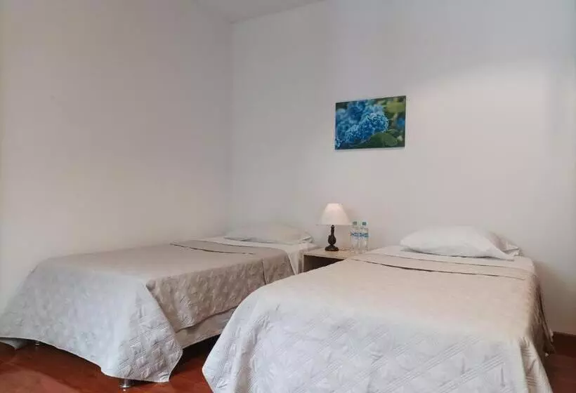 ベッドアンドブレックファースト Conforta Rentals & Spa