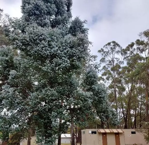 モーテル Mt Barker Holiday Park   Western Australia