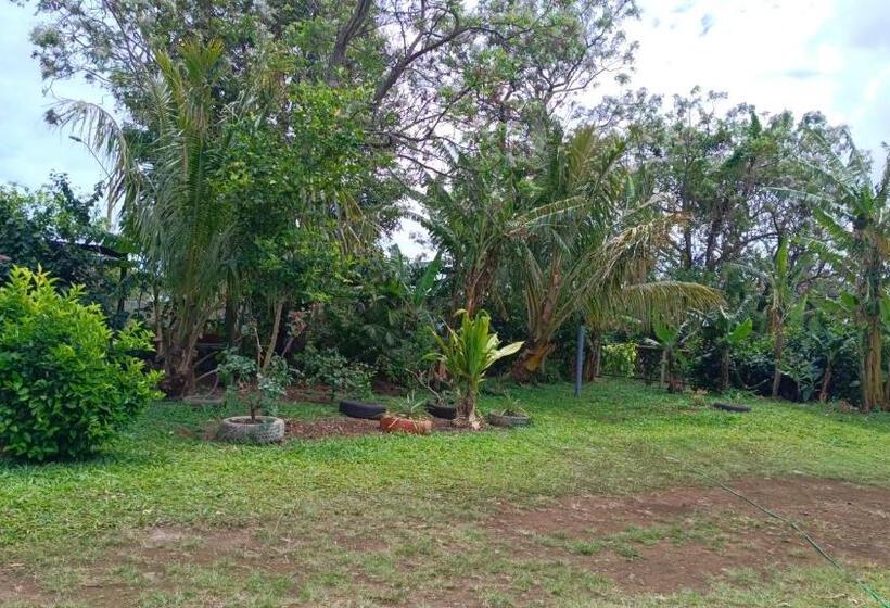 Pension Hostal Kaiheke