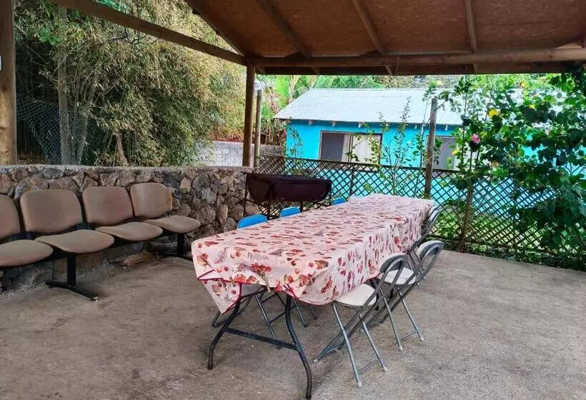 ペンション Hostal Kaiheke