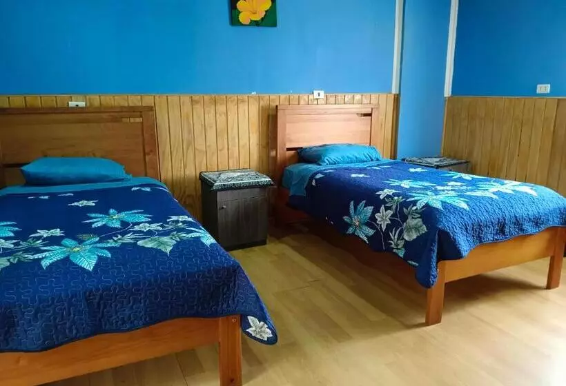 ペンション Hostal Kaiheke