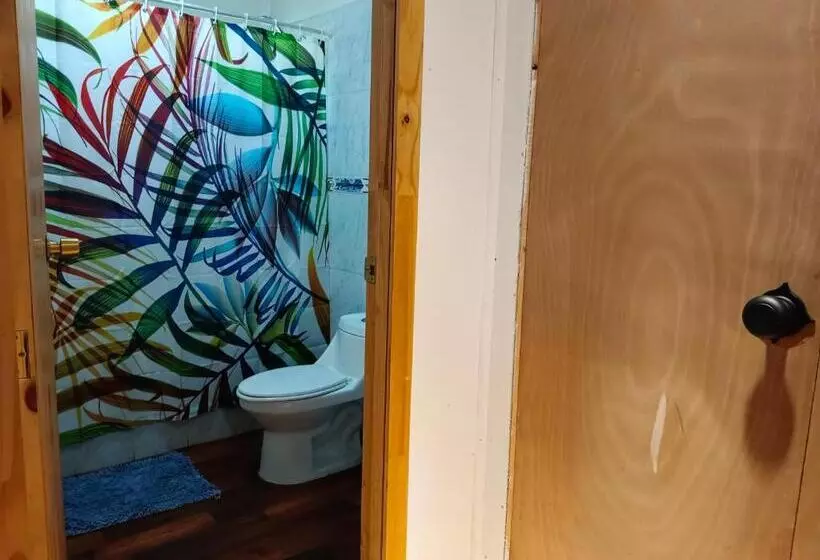 ペンション Hostal Kaiheke