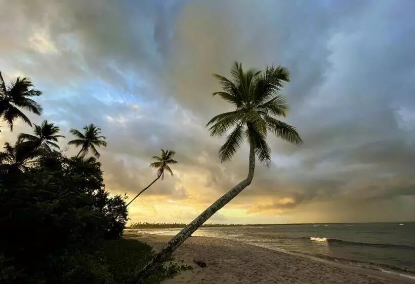 ペンション Quarto Saposunga