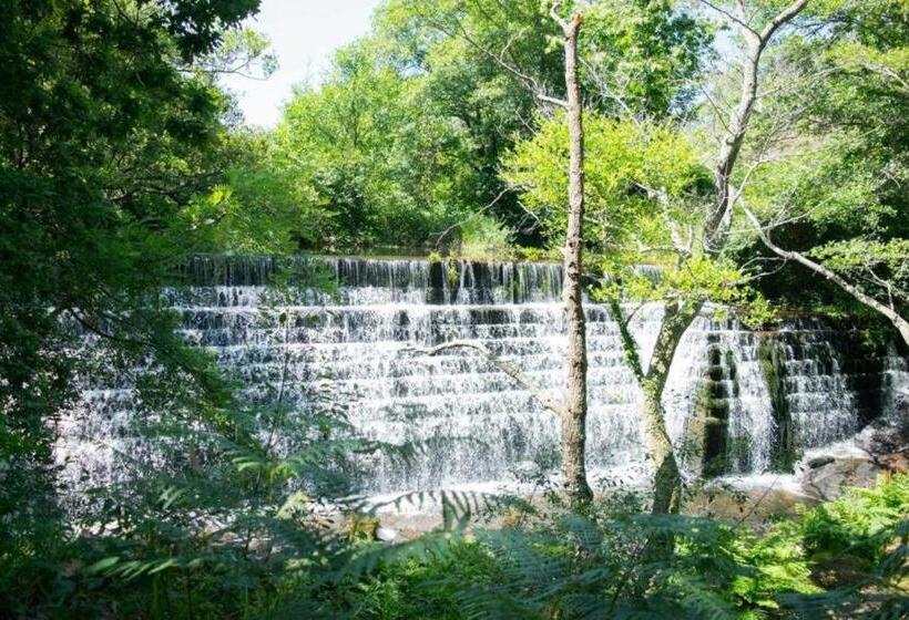 Pensión San Ciprian Urbanización Ríocobo