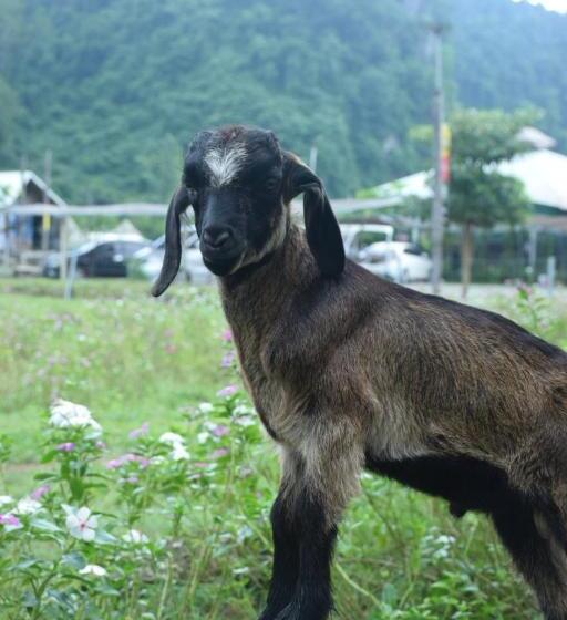 استراحتگاه A Moment Of Love...by Red Z @บ้านมุง เนินมะปราง