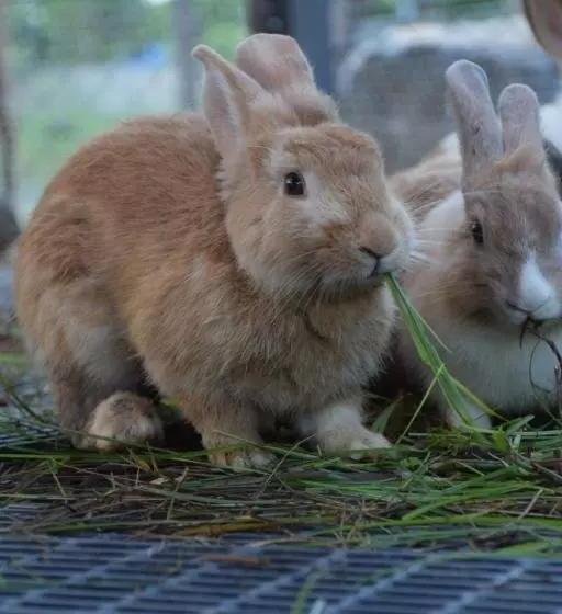 リゾートホテル A Moment Of Love...by Red Z @บ้านมุง เนินมะปราง