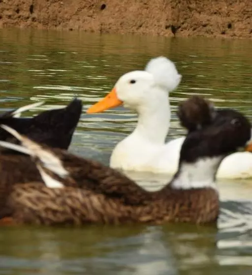 リゾートホテル A Moment Of Love...by Red Z @บ้านมุง เนินมะปราง