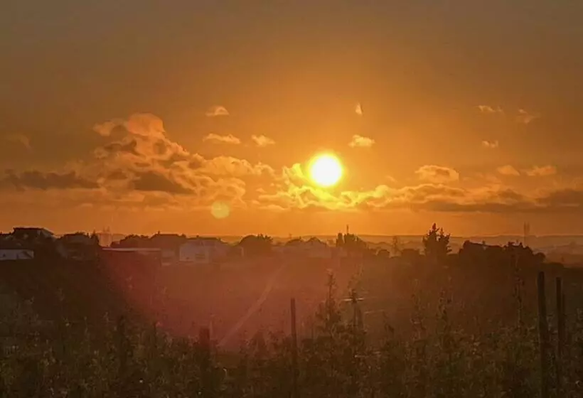 Aamiaismajoitus (B&B) Bbmontejunto