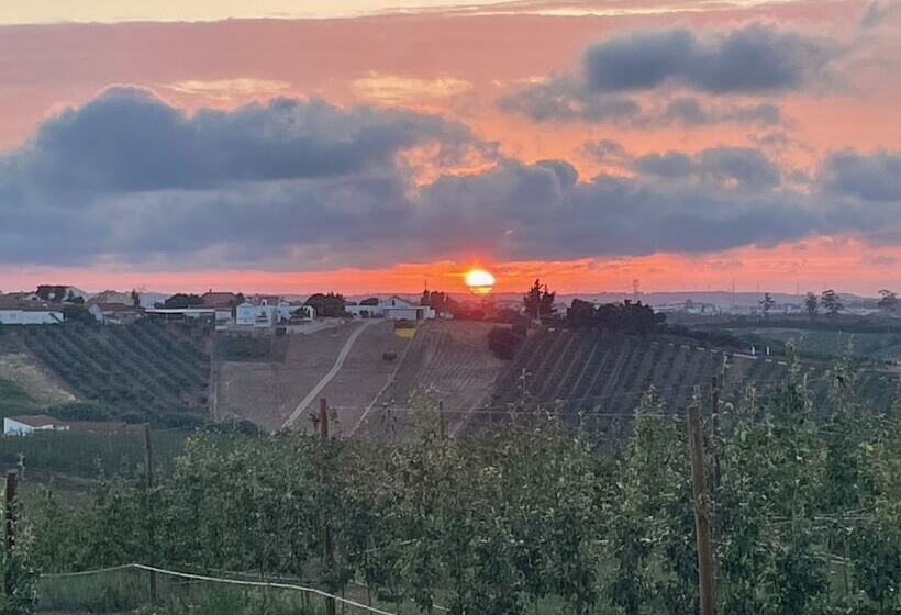 Bed and Breakfast Bbmontejunto