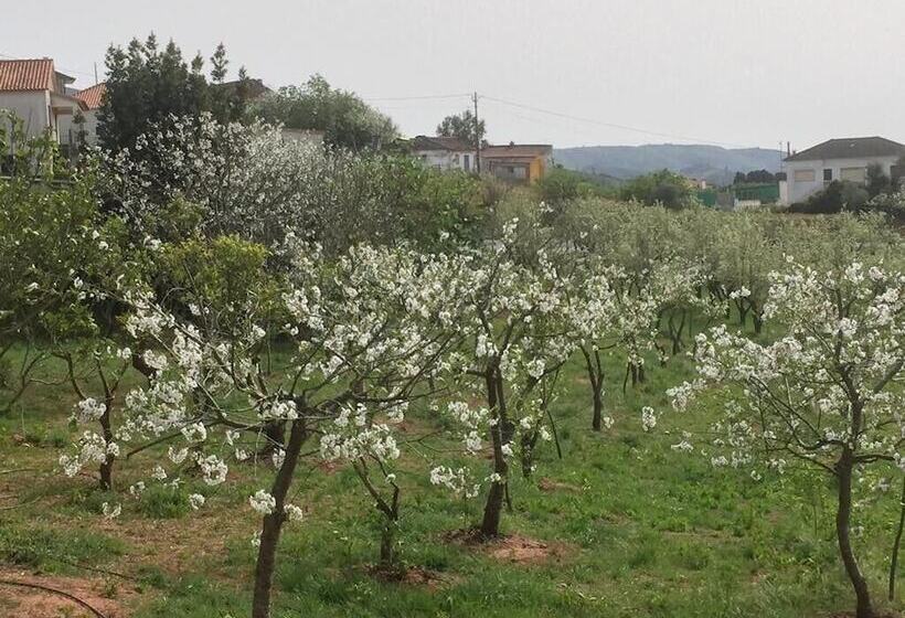 Bed and Breakfast Bbmontejunto