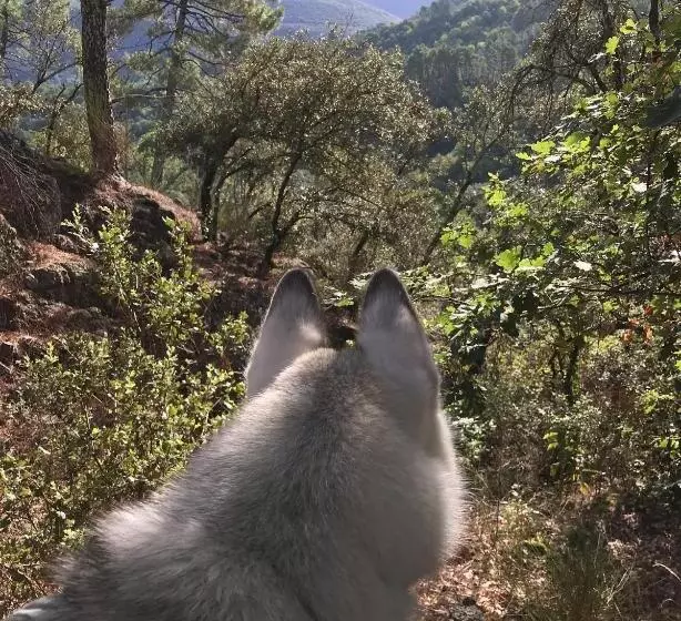 Aamiaismajoitus (B&B) Chambre D Hôte Lavande   Le Soleil Des Cévennes
