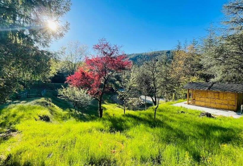 مبيت وإفطار Chambre D Hôte Lavande Le Soleil Des Cévennes