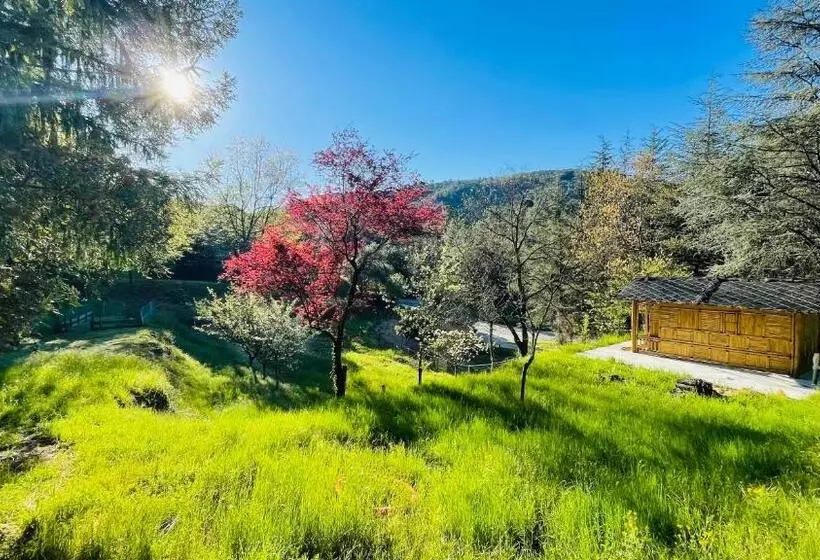 Aamiaismajoitus (B&B) Chambre D Hôte Lavande   Le Soleil Des Cévennes
