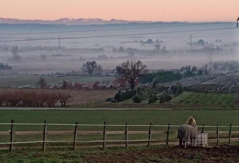 Nocleg ze śniadaniem Domaine De Cozance Chambres D Hôtes Et Gîte