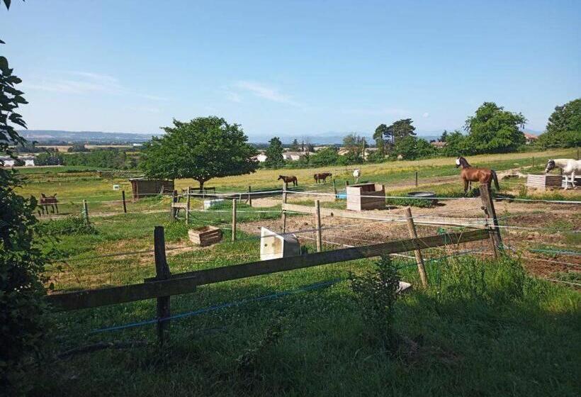 Nocleg ze śniadaniem Domaine De Cozance Chambres D Hôtes Et Gîte