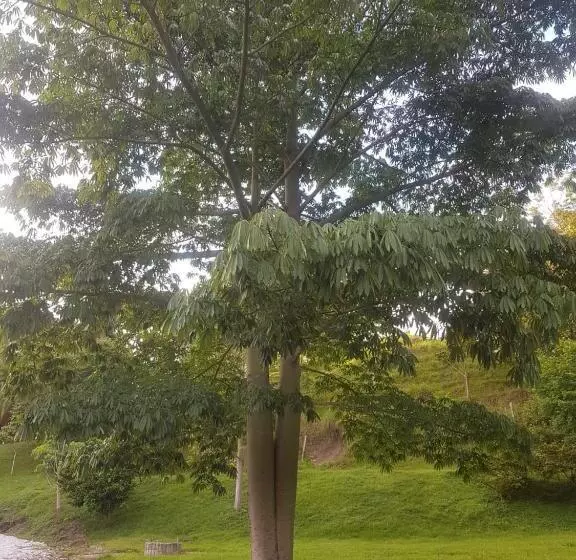 ホテル Campestre El Refugio De Las Guacamayas