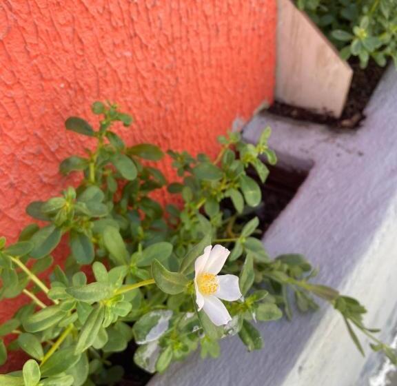 ホテル House Nativa